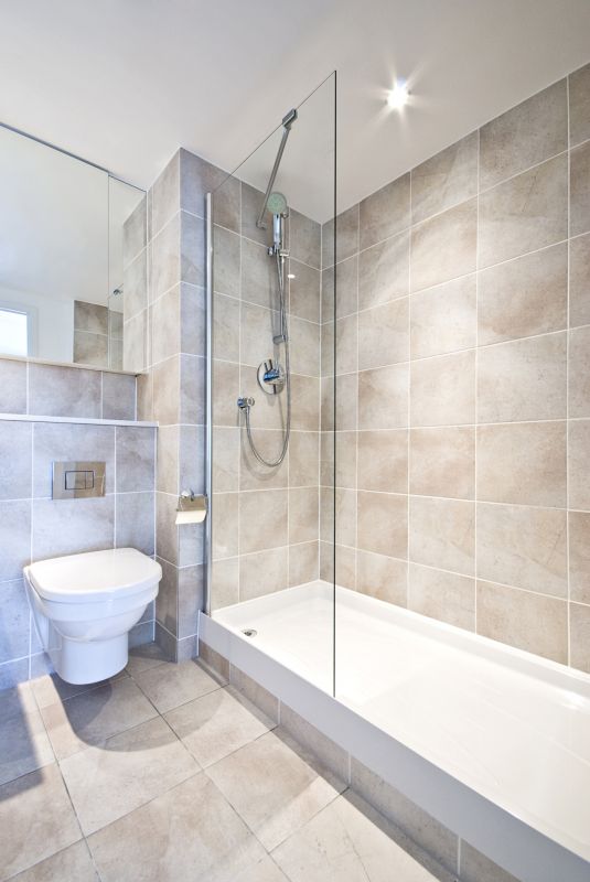 Contemporary Shower Niche